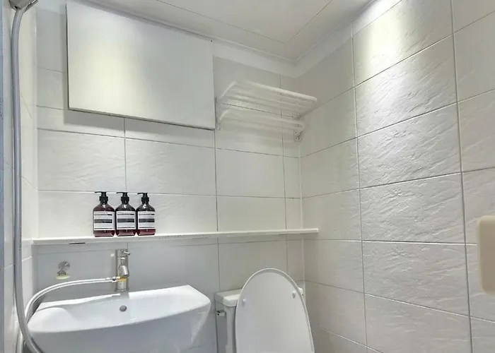 Sol "1min From Sookmyung Women's Univ Station" Apartment Seoul